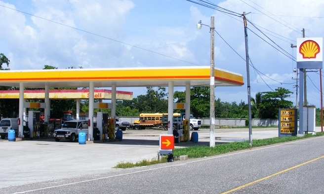 Jardines gasolinera Shell Majadahonda