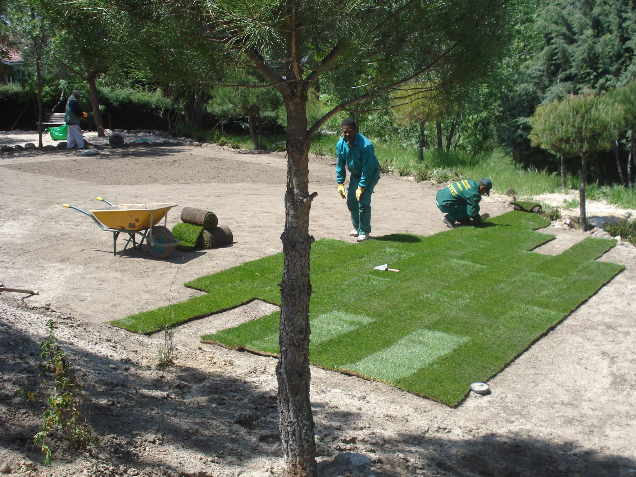 Diseño y realizacion jardin en Galapagar, Madrid